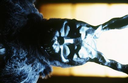 Donnie Darko