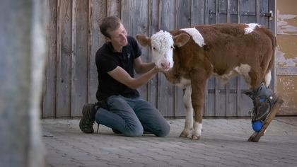 Menschen & Tiere