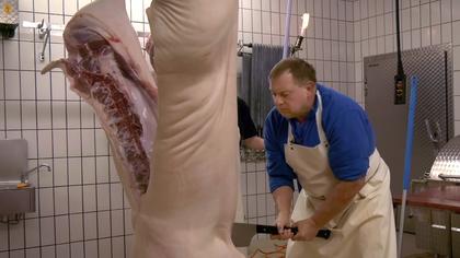 Menschen & Tiere