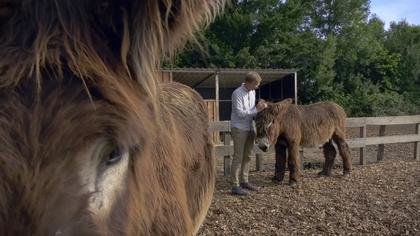 Menschen & Tiere