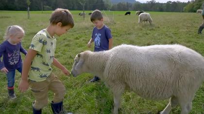 Menschen & Tiere