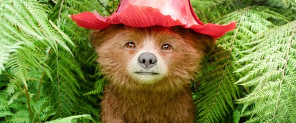 Paddington in Peru
