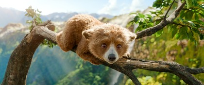 Paddington in Peru