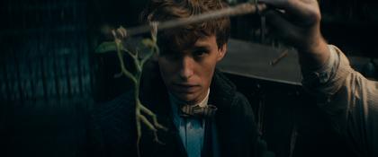 Phantastische Tierwesen 3: Dumbledores Geheimnisse
