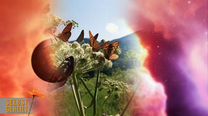 Selbst geheilt - Die Gesundheits(R)evolution