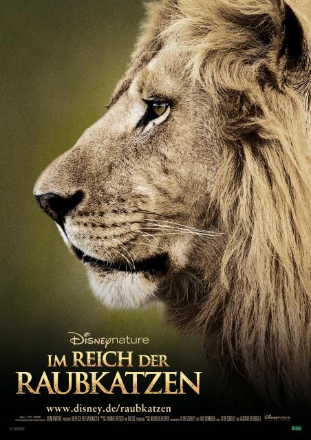Filmbeschreibung zu Im Reich der Raubkatzen