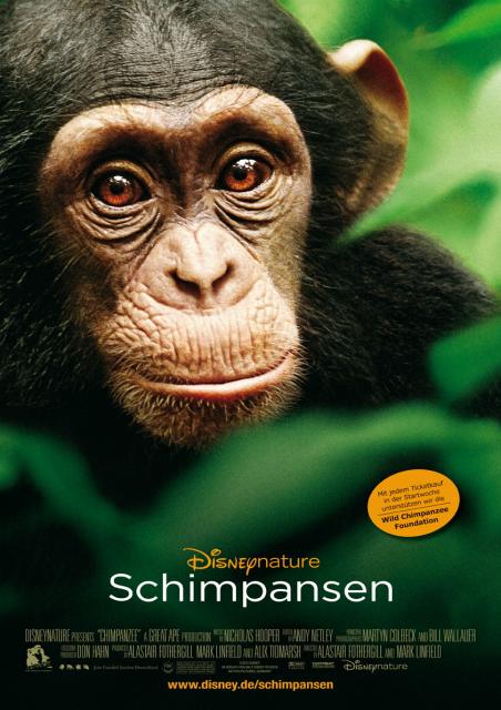 Filmbeschreibung zu Schimpansen