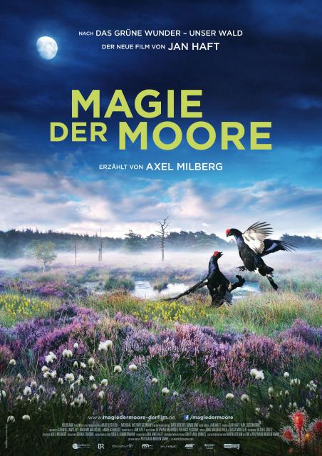 Filmbeschreibung zu Magie der Moore