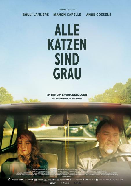 Filmbeschreibung zu Alle Katzen sind grau