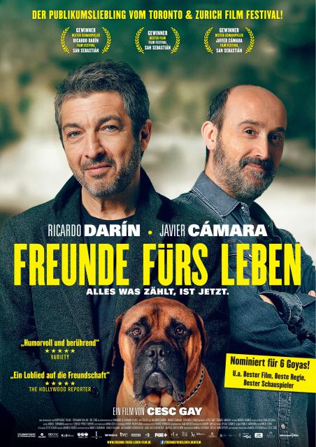 Filmbeschreibung zu Freunde f?rs Leben