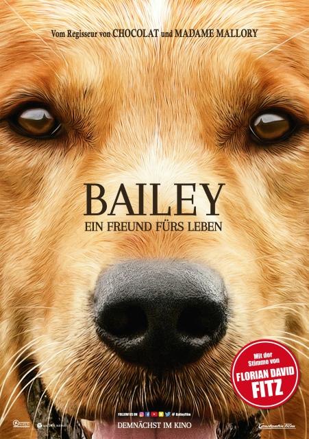 Bailey - Ein Freund f?rs Leben