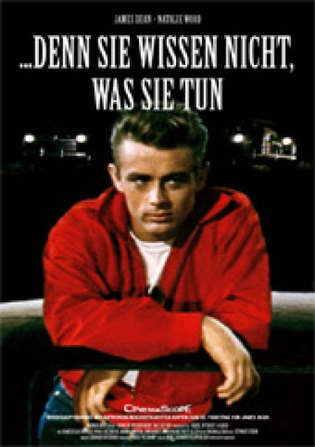 Filmbeschreibung zu ... denn sie wissen nicht, was sie tun