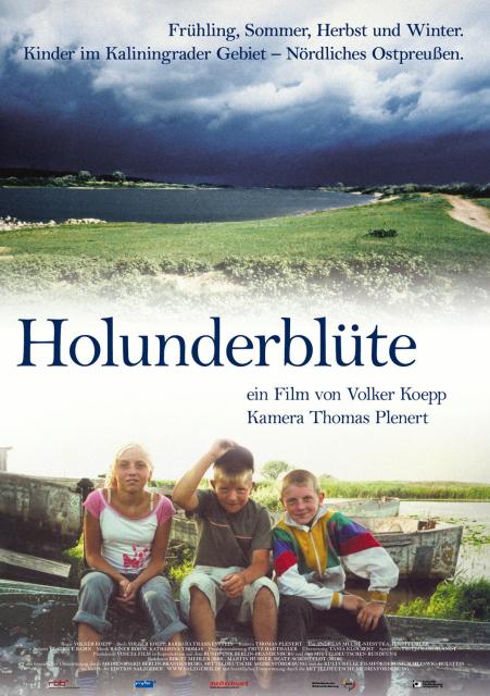 Holunderbl?te